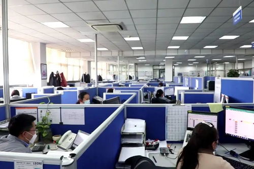 濟寧高新區(qū) 量身定制 破解企業(yè)發(fā)展難題