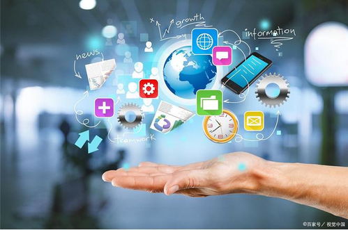 未來寵物護理 探索動物互聯網醫院系統的前沿科技