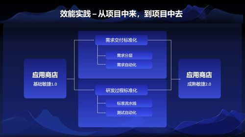 vivo 互聯網研發效能關鍵技術與實踐
