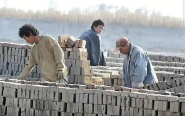 山东一村办砖厂强迫7名智障者劳动，是如何被警方发现的？